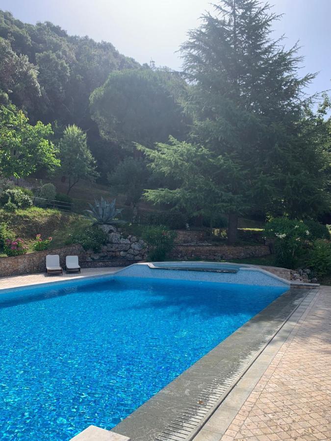 La Terrazza Sulla Versilia 피에트라산타 외부 사진