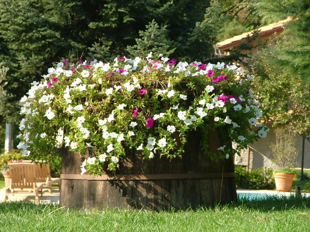 La Terrazza Sulla Versilia 피에트라산타 외부 사진