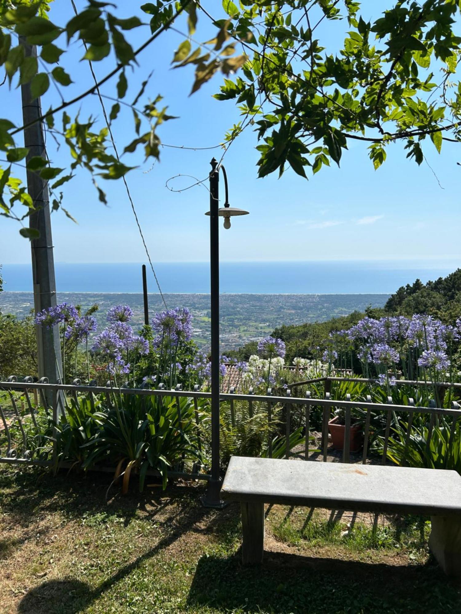 La Terrazza Sulla Versilia 피에트라산타 외부 사진